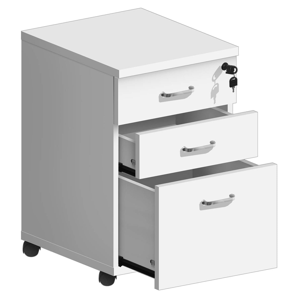 Pedestal Asters Maldives