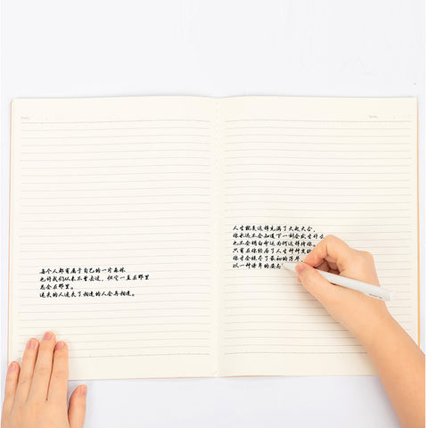 Notebook, 40 Sheets (A4) - Asters Maldives