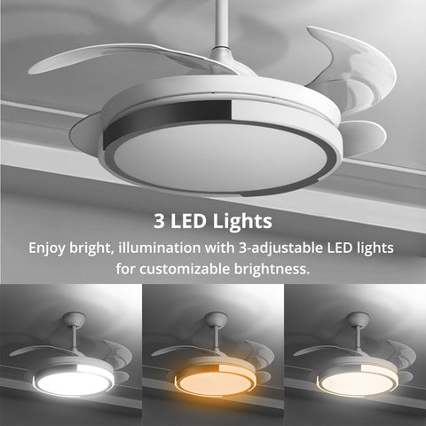 Ceiling Fan (Ø42") - Asters Maldives