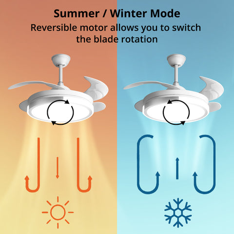 Ceiling Fan (Ø42") - Asters Maldives