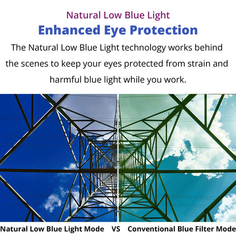 Monitor (24") - Asters Maldives