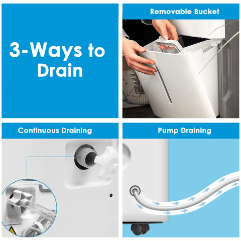 Dehumidifier (6L) - Asters Maldives