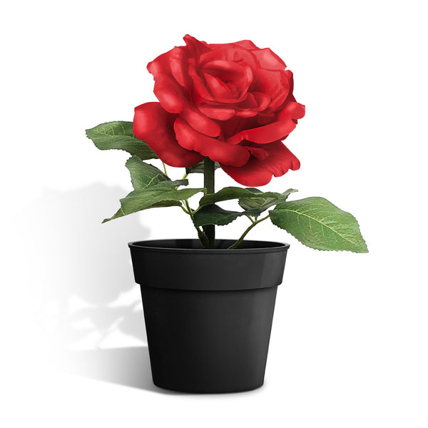 Artificial Plants & Decor