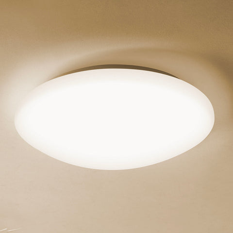 LED Ceiling Light (12W)