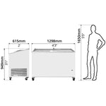 Chest Freezer (313L) - Asters Maldives