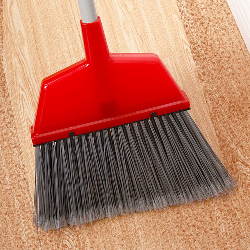 Broom - Asters Maldives