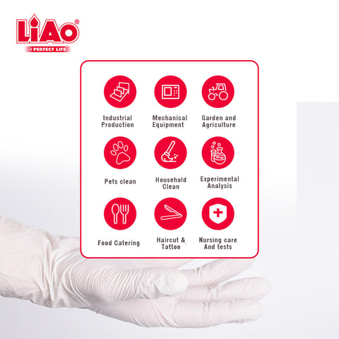 Disposable Gloves (24 PCs) - Asters Maldives