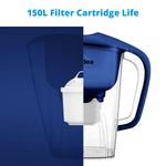 Water Purifier (1.2L) with x2 Filters