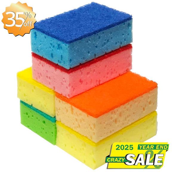 Scouring Pad (6 PCs) - Asters Maldives