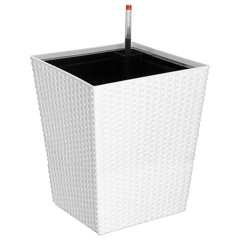 Plant Pot (30 x 36cm) - Asters Maldives