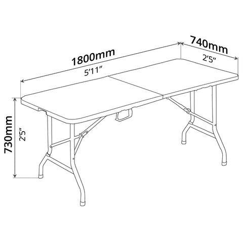 Folding Table (5'11" x 2'5")