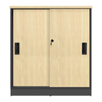 Cabinet With Door