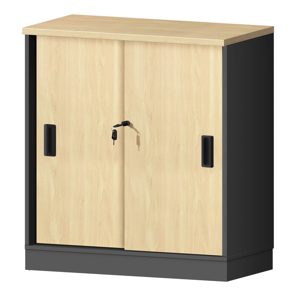 Cabinet With Door