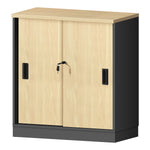 Cabinet With Door