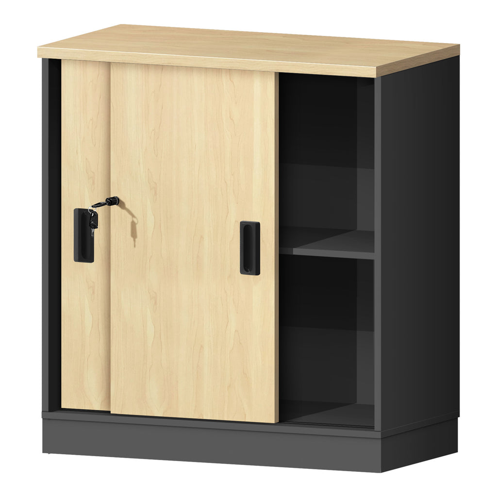 Cabinet With Door