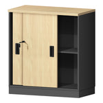 Cabinet With Door