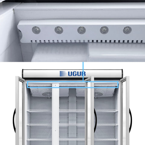 Display Fridge (1193L)