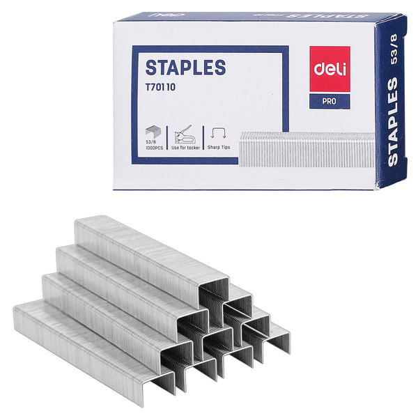 Staples (53/8)