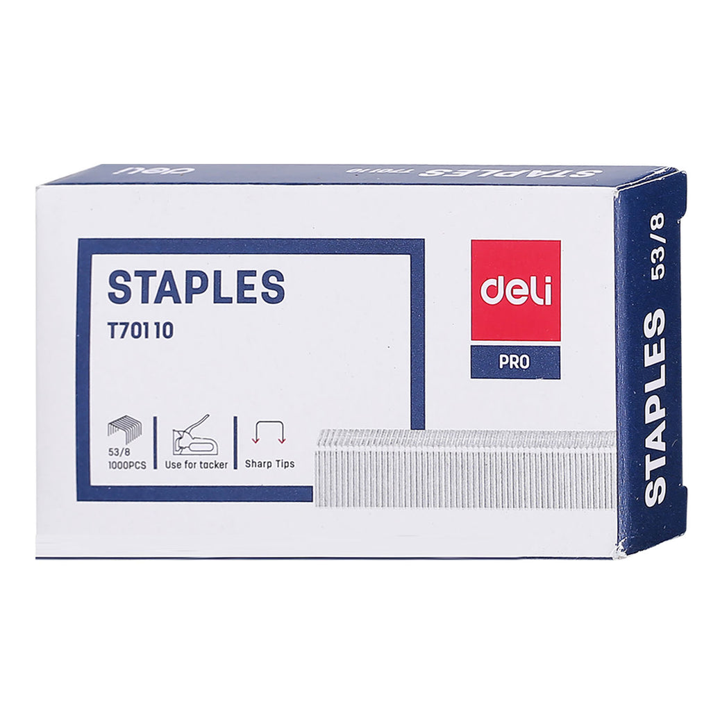 Staples (53/8) - Asters Maldives