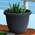 Plant Pot (Ø25 x 19cm) - Asters Maldives