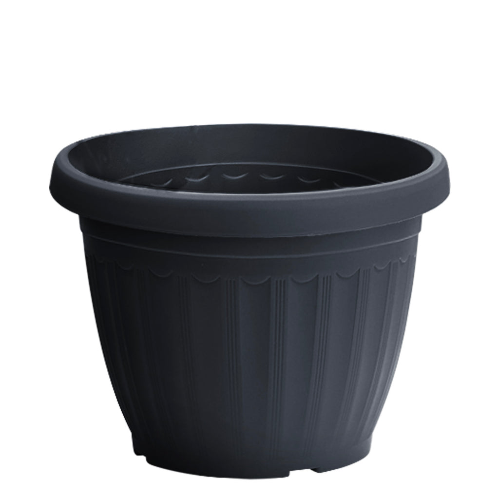 Plant Pot (Ø25 x 19cm) - Asters Maldives