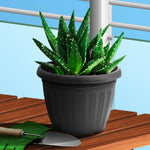 Plant Pot (Ø16 x 12cm) - Asters Maldives