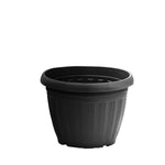 Plant Pot (Ø16 x 12cm) - Asters Maldives
