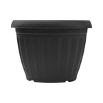 Plant Pot (Ø16 x 12cm) - Asters Maldives