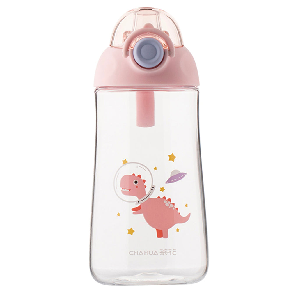 Water Bottle (530ml)