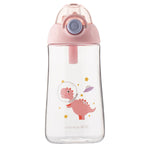 Water Bottle (530ml)