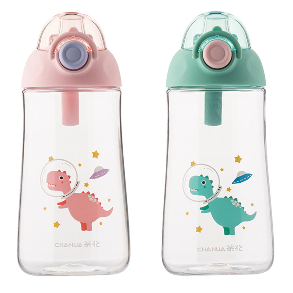 Water Bottle (530ml)