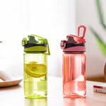 Water Bottle (480ml)
