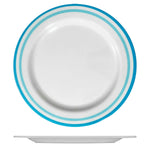 Dinner Plate (Ø10") - Asters Maldives