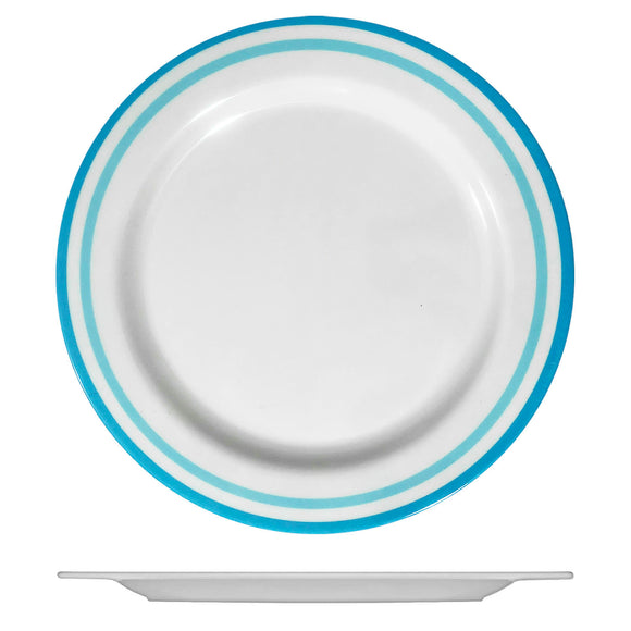 Dinner Plate (Ø10
