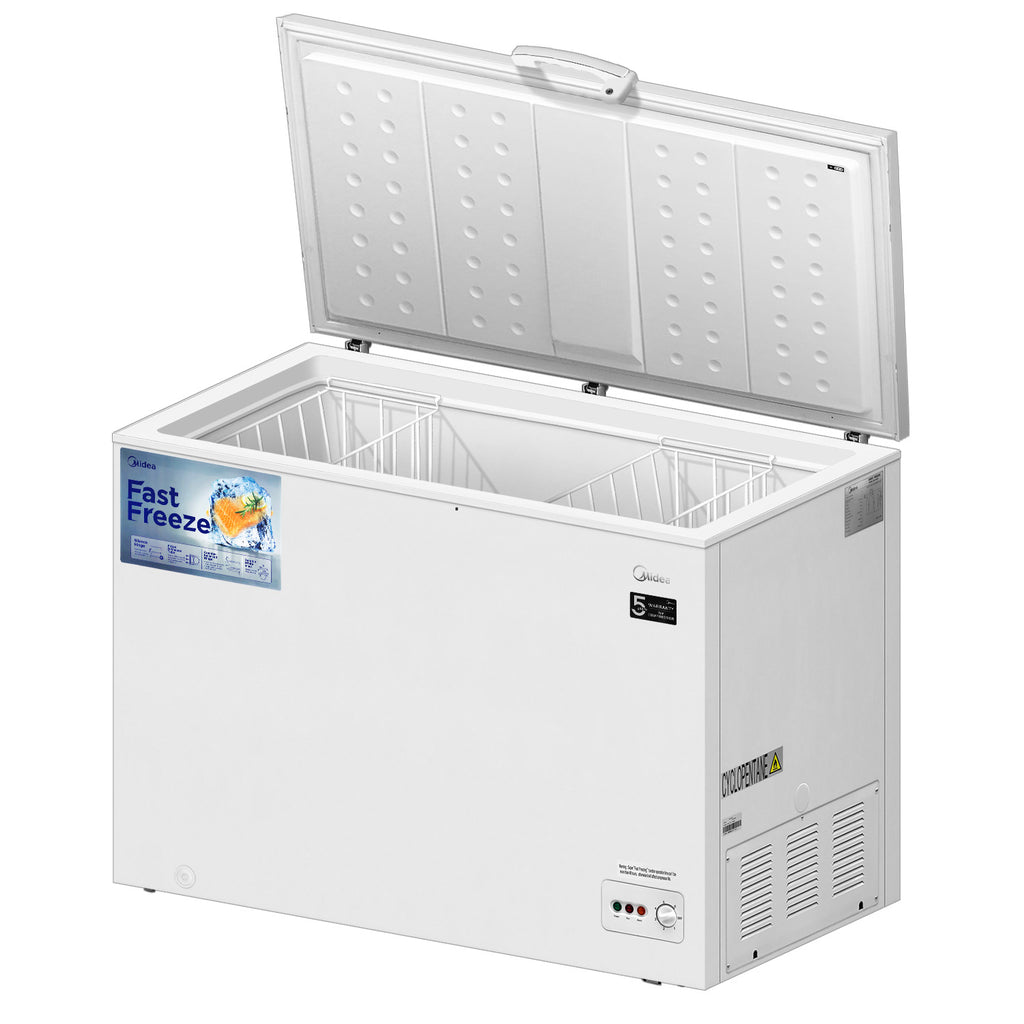 Chest Freezer (295L)