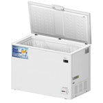 Chest Freezer (295L)