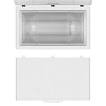 Chest Freezer (295L)