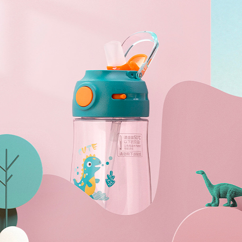 Water Bottle (420ml)