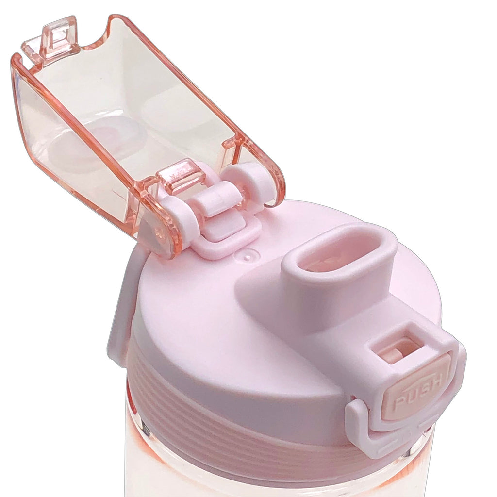 Water Bottle (480ml)