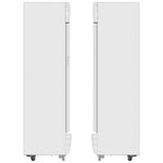 Display Fridge (309L) - Asters Maldives