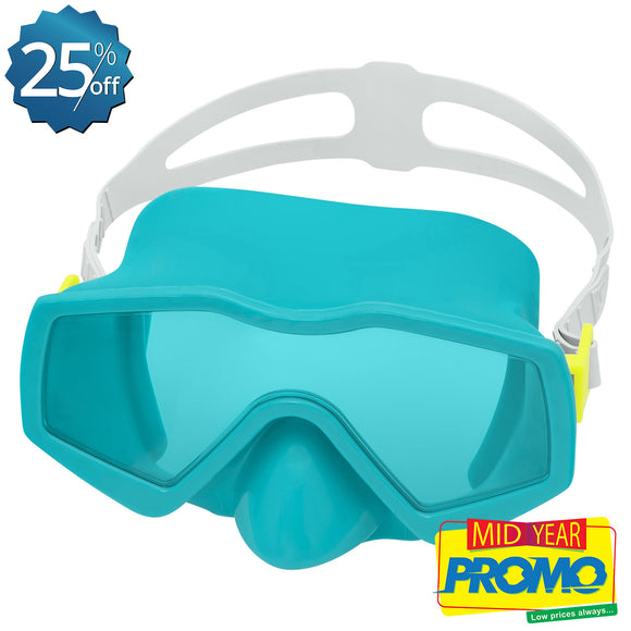 Snorkel Mask (14+)