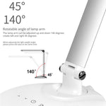 Desk Lamp - Asters Maldives