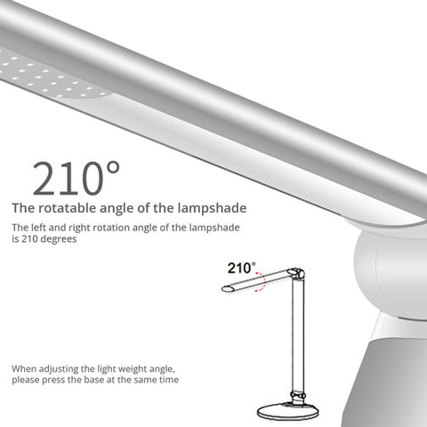Desk Lamp - Asters Maldives