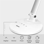 Desk Lamp - Asters Maldives