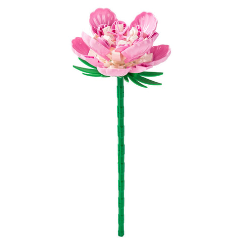 Educational Toy (89 PCs) - Asters Maldives