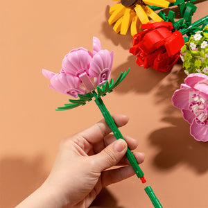 Educational Toy (89 PCs) - Asters Maldives