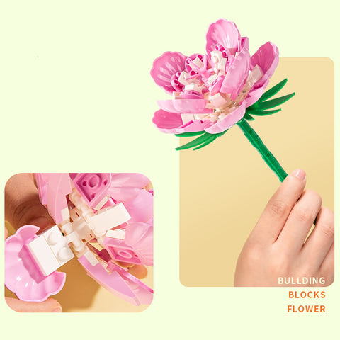 Educational Toy (89 PCs) - Asters Maldives