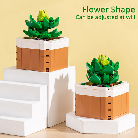 Educational Toy (132 PCs) - Asters Maldives