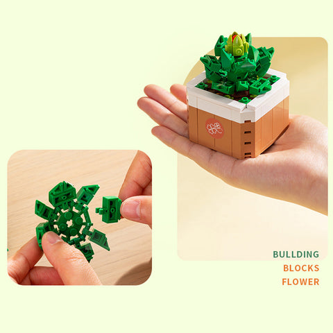 Educational Toy (132 PCs) - Asters Maldives