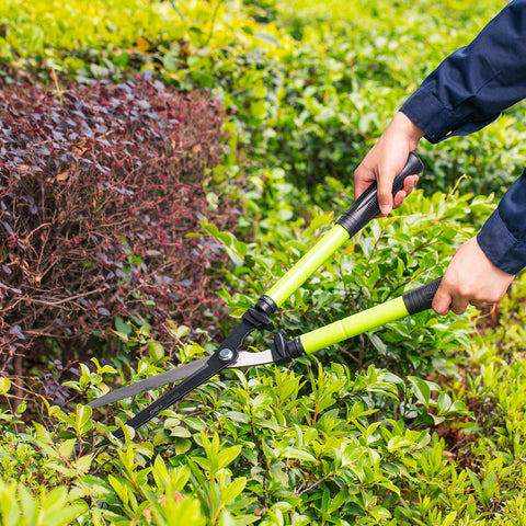 Garden Shear (25" - 33") - Asters Maldives